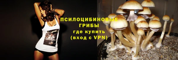 винт Медногорск