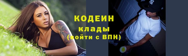 гидра Киренск