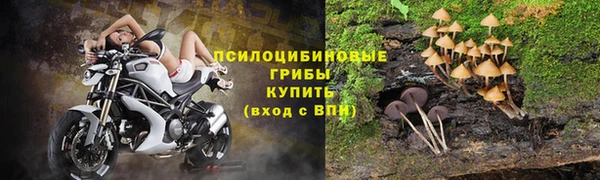 ПСИЛОЦИБИНОВЫЕ ГРИБЫ Майский
