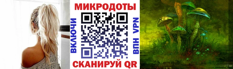 Псилоцибиновые грибы мицелий маркетплейс официальный сайт Калининград