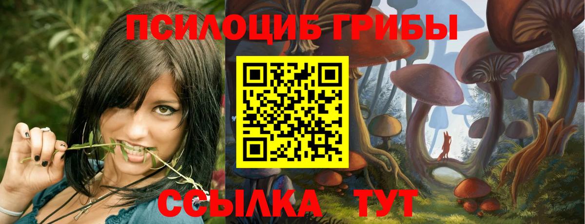 Псилоцибиновые грибы ЛСД Калининград