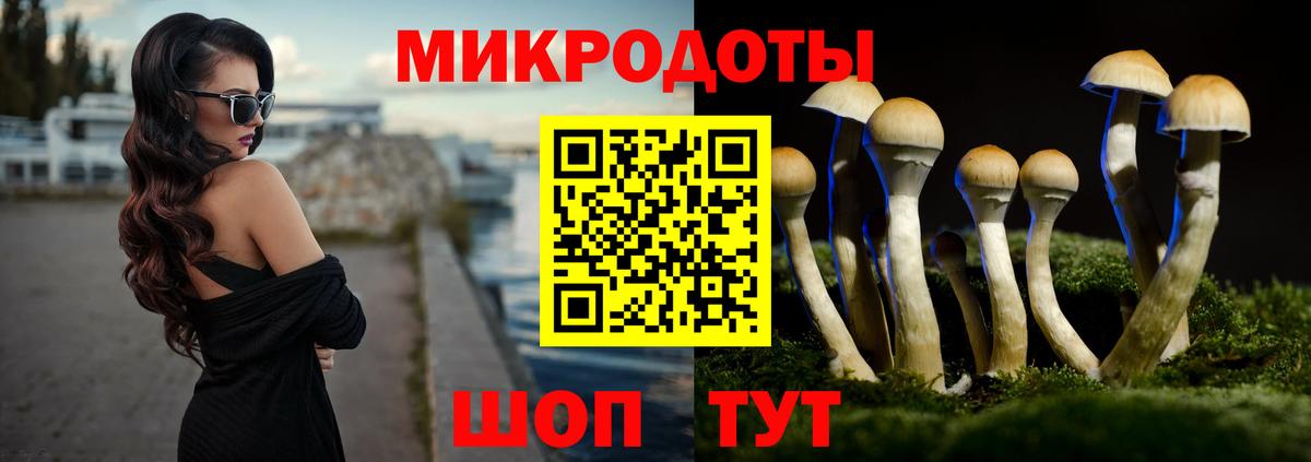 Галлюциногенные грибы мухоморы Калининград