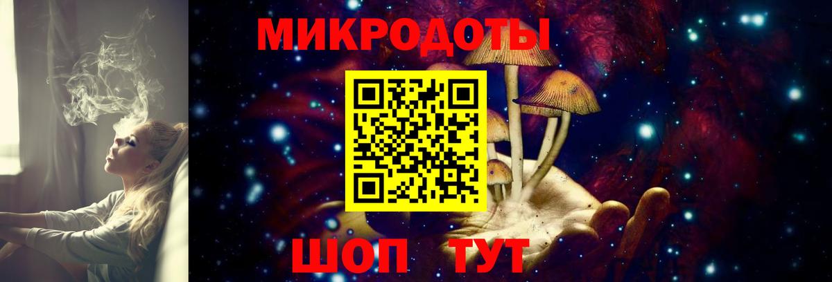 Псилоцибиновые грибы Psilocybine cubensis  Калининград 